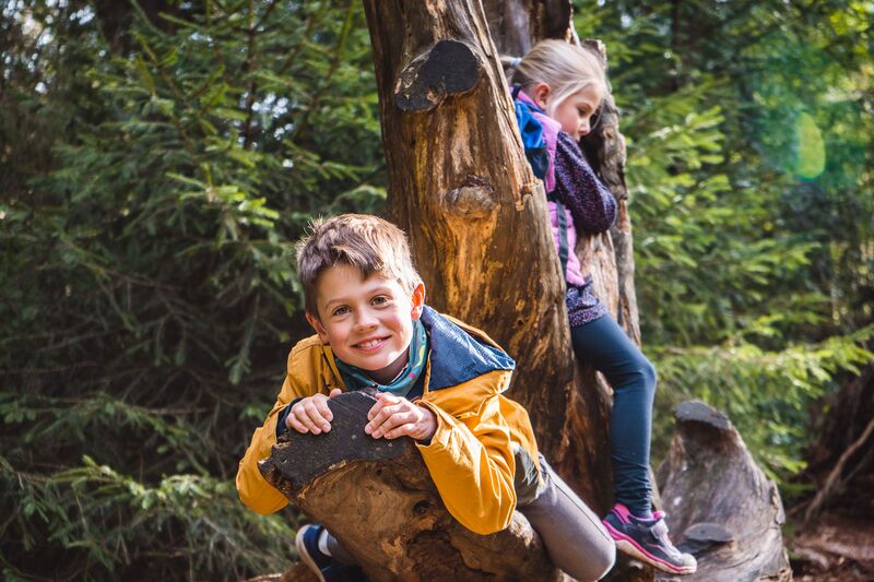 family leisure tips Nature adventure trail in Hinterzarten