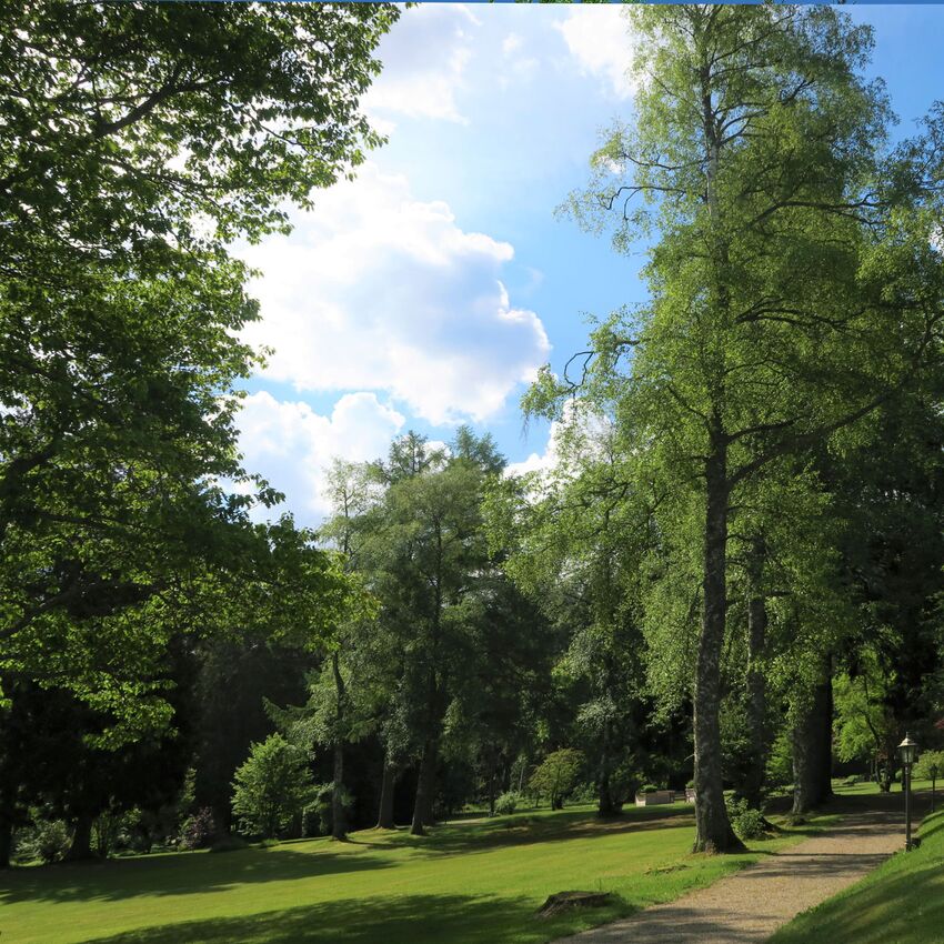 Strolling in the Private Hotel Park