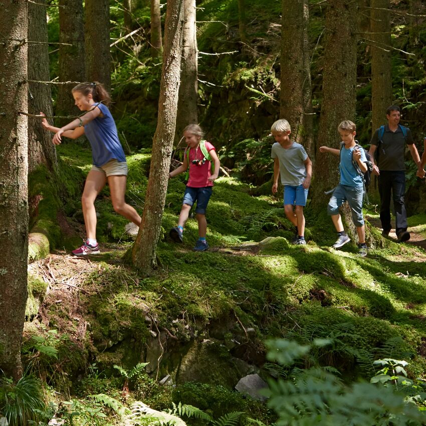Geocaching in the Black Forest