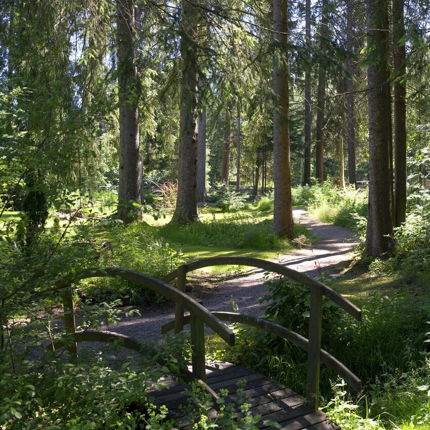 Bridge in the Hotel Park