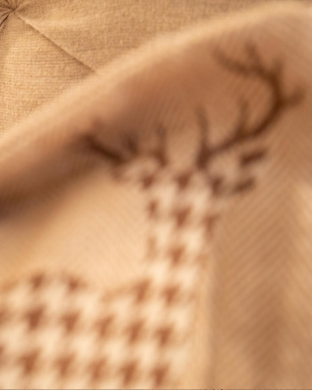 Local Motifs