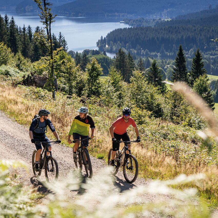 Biking in the Black Forest