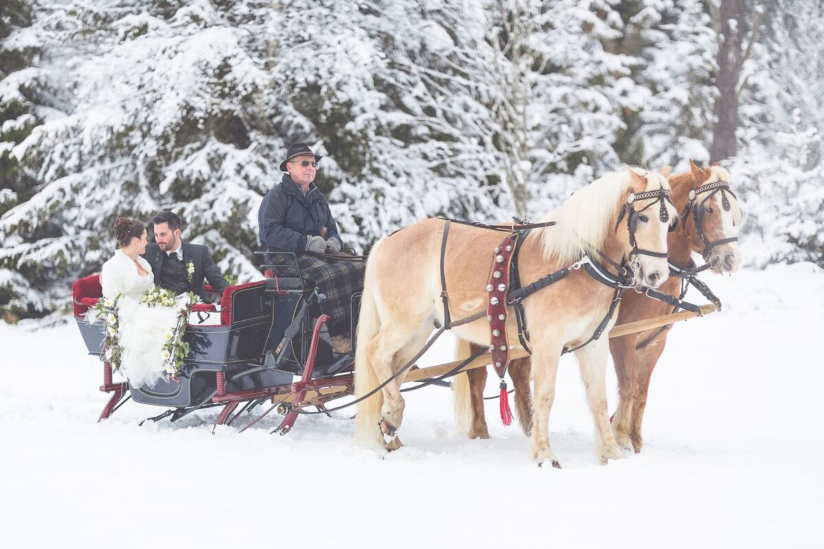 Winter wedding with horse-drawn carriage