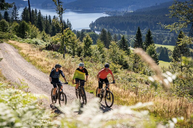 Biking in the Black Forest Biking in the Black Forest