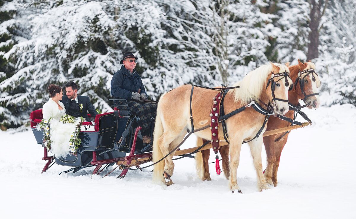 Winter Outdoor Wedding with a Horse-Drawn Carriage