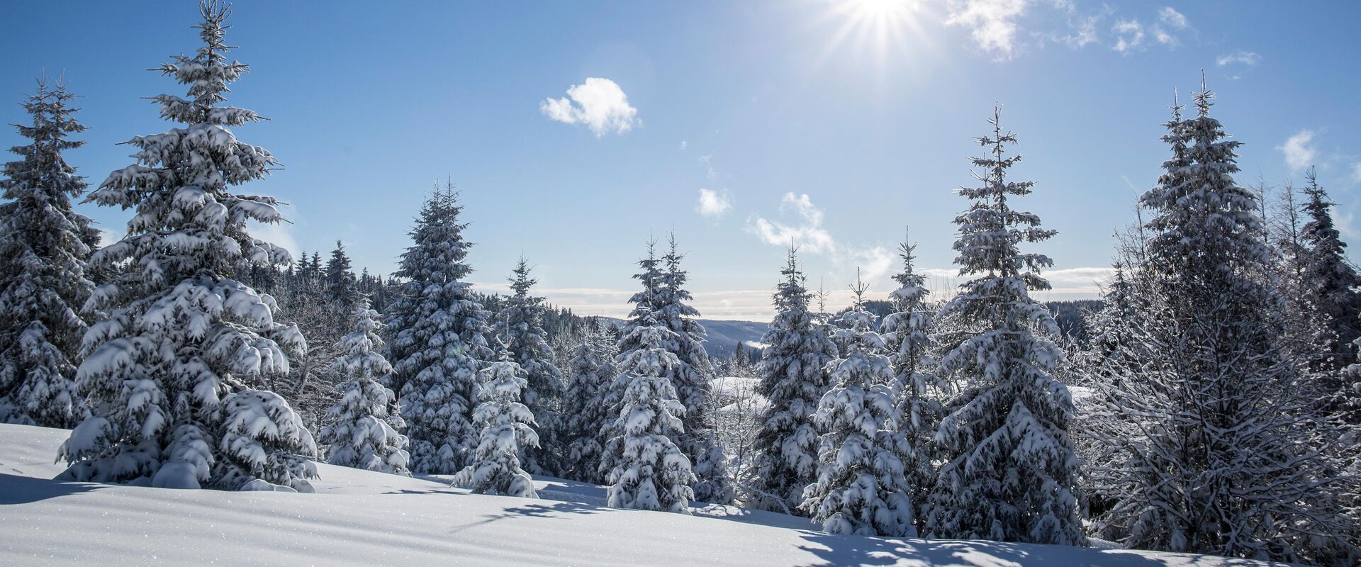 Leisure tips for winter in the High Black Forest