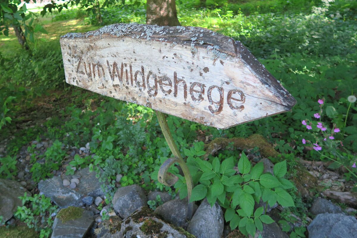Wildlife enclosure signpost made of wood